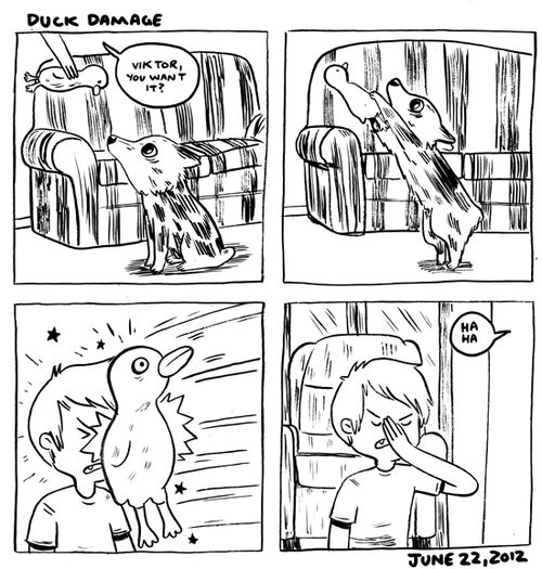 in which my dog is trying to kill me 