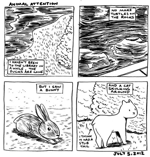 in which I give a critter report 